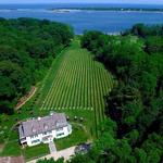 Harmony Vineyards