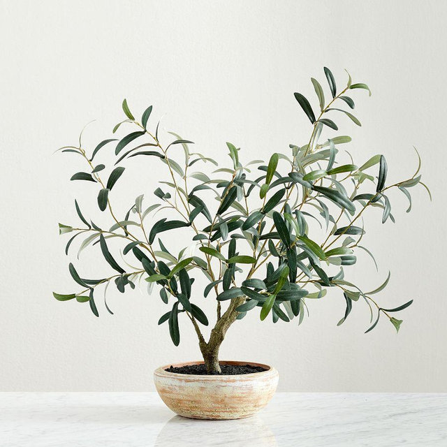 Faux Potted Olive House Plant