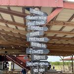 Southern Hill Farms