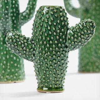 Cactus Vase