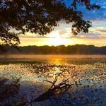 Sippo Lake Park-East