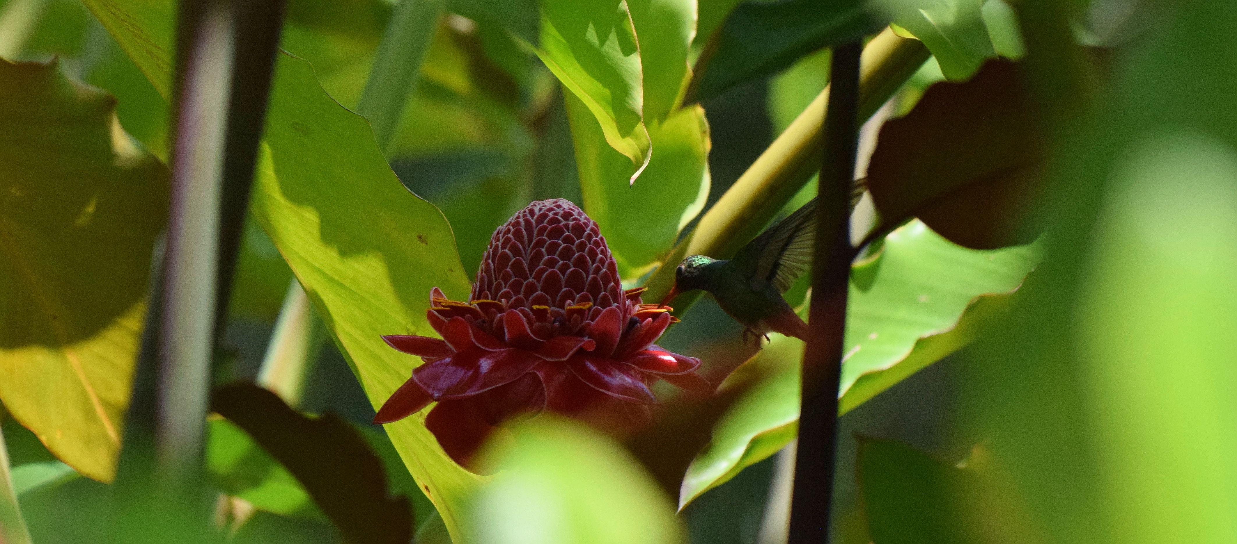 The Wedding Website of Karen Carvajal Gómez and Ruben Berrio Galán
