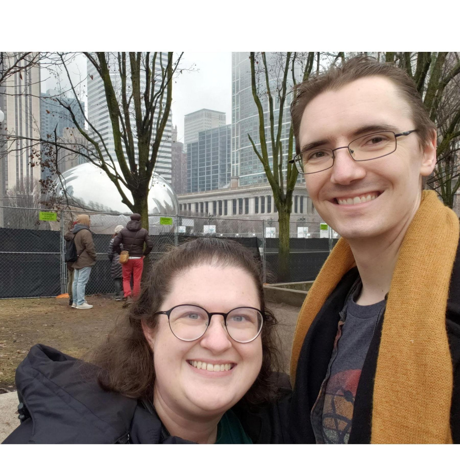 The Bean in Chicago - so close, yet so far