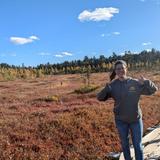 Philbrick Cricenti Bog