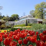 Dixon Gallery & Gardens