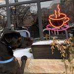 Coffee Shops
