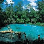 Ichetucknee Springs State Park
