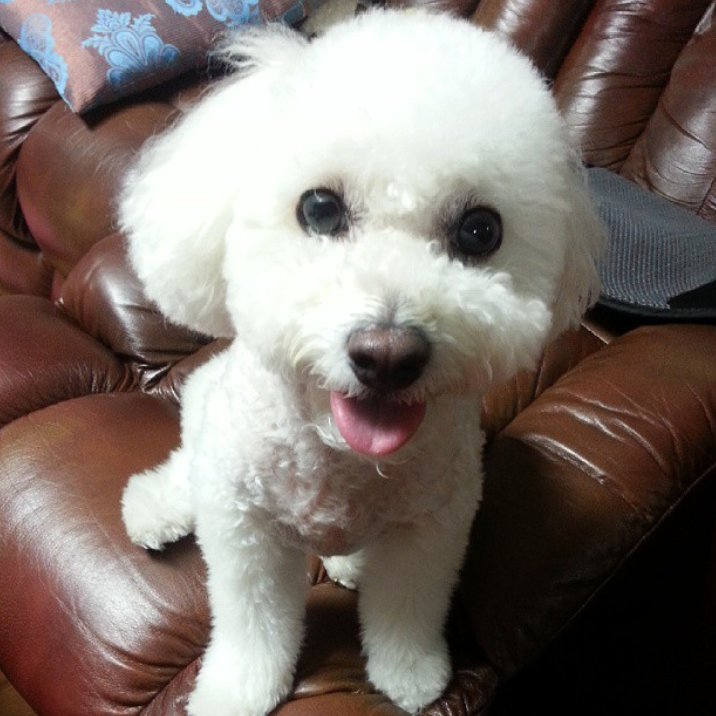 Our Miss Coco!