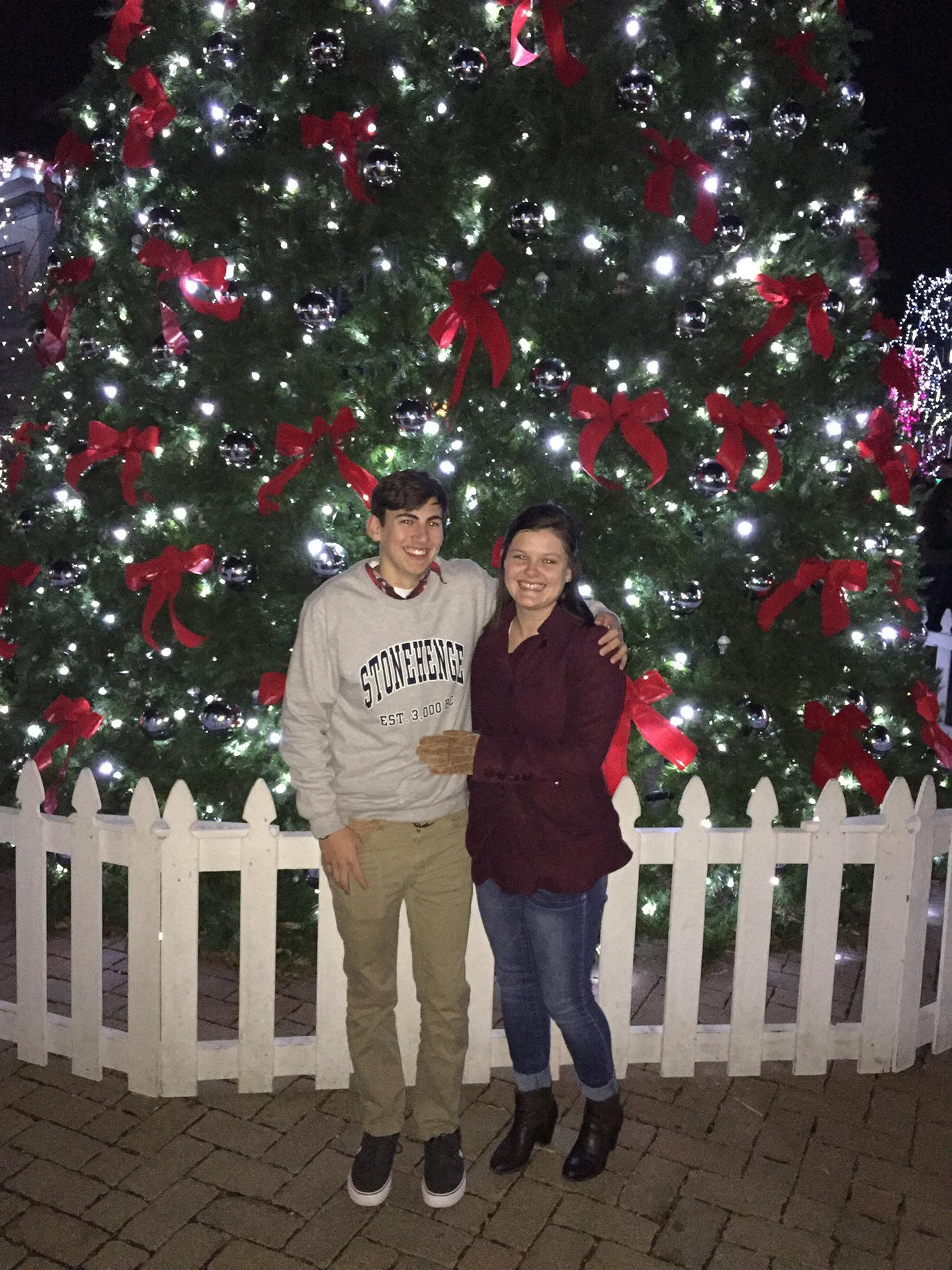 Annual Festival of Lights Date, December 2017