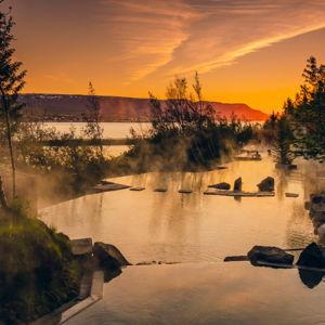 Forest Lagoon