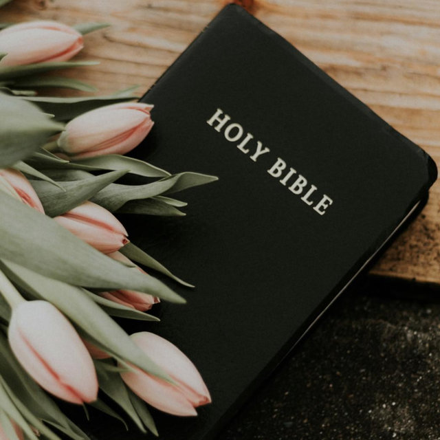 Family Bible Fund