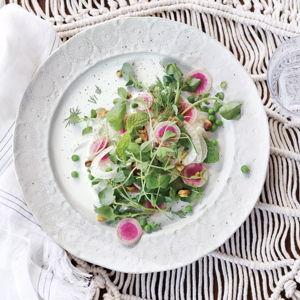 Old Havana Dinner Plates, Set of 4 - White