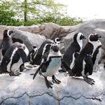 Mystic Aquarium