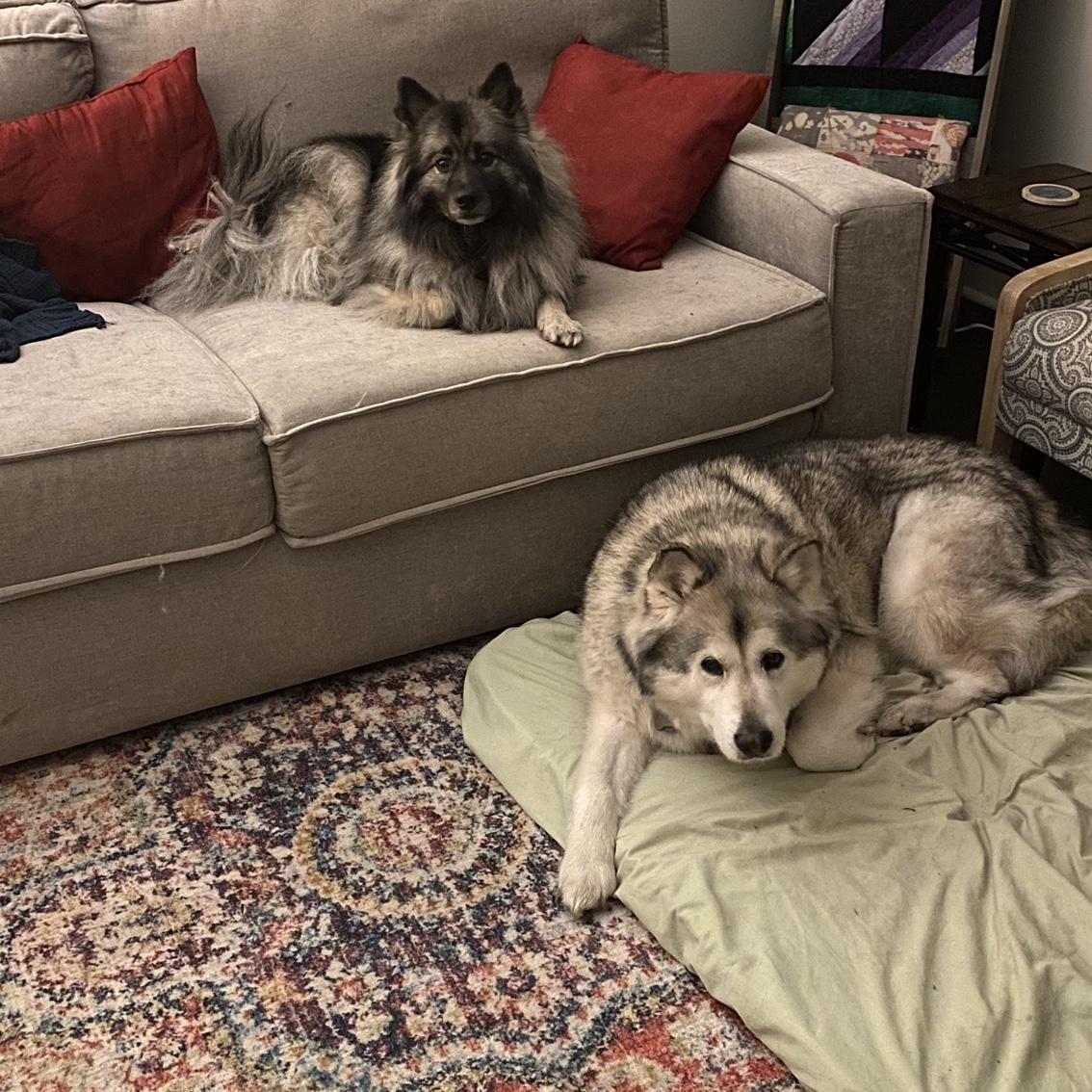 Pupperz ^_^