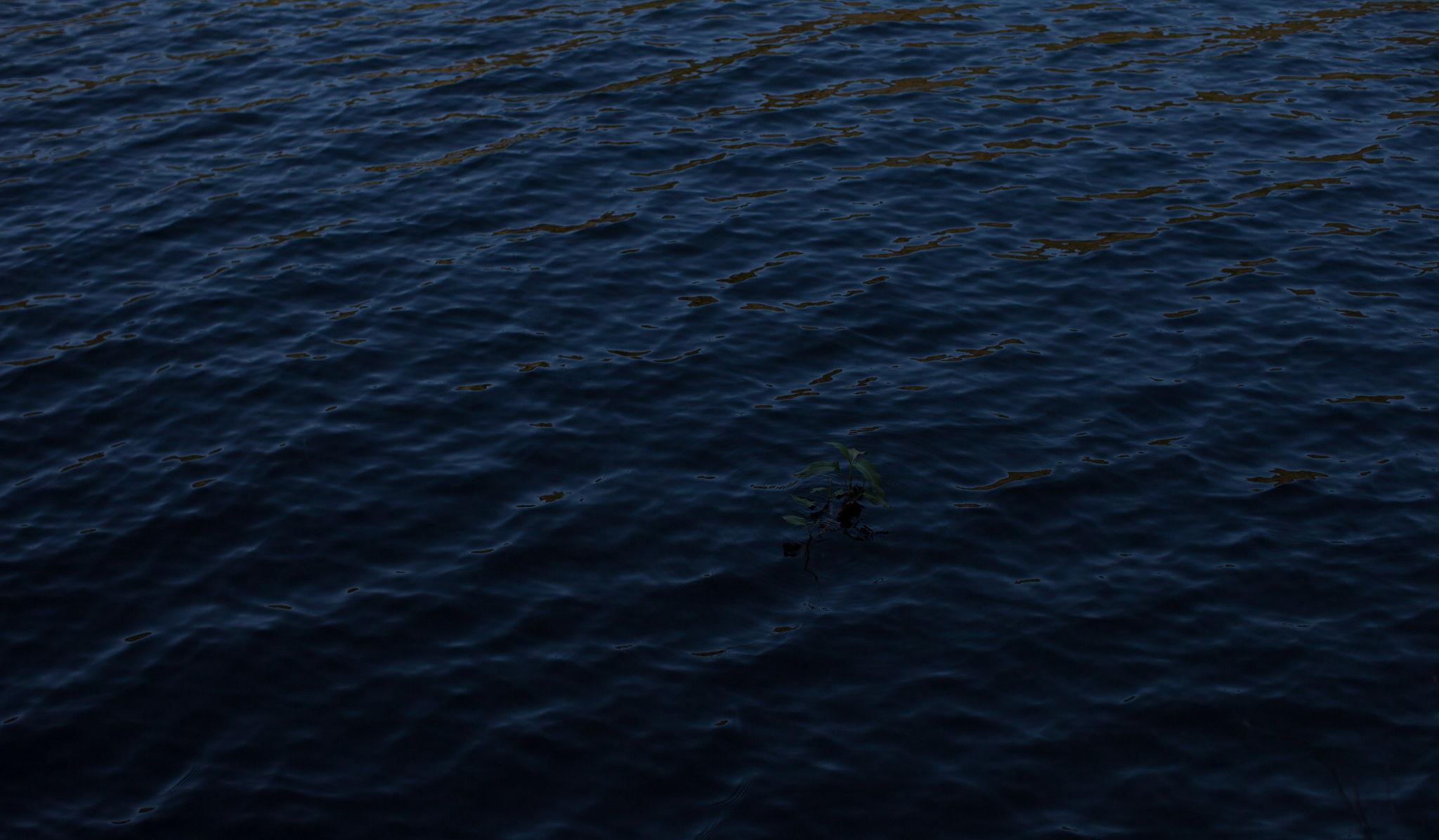 Hero Slideshow Image 3