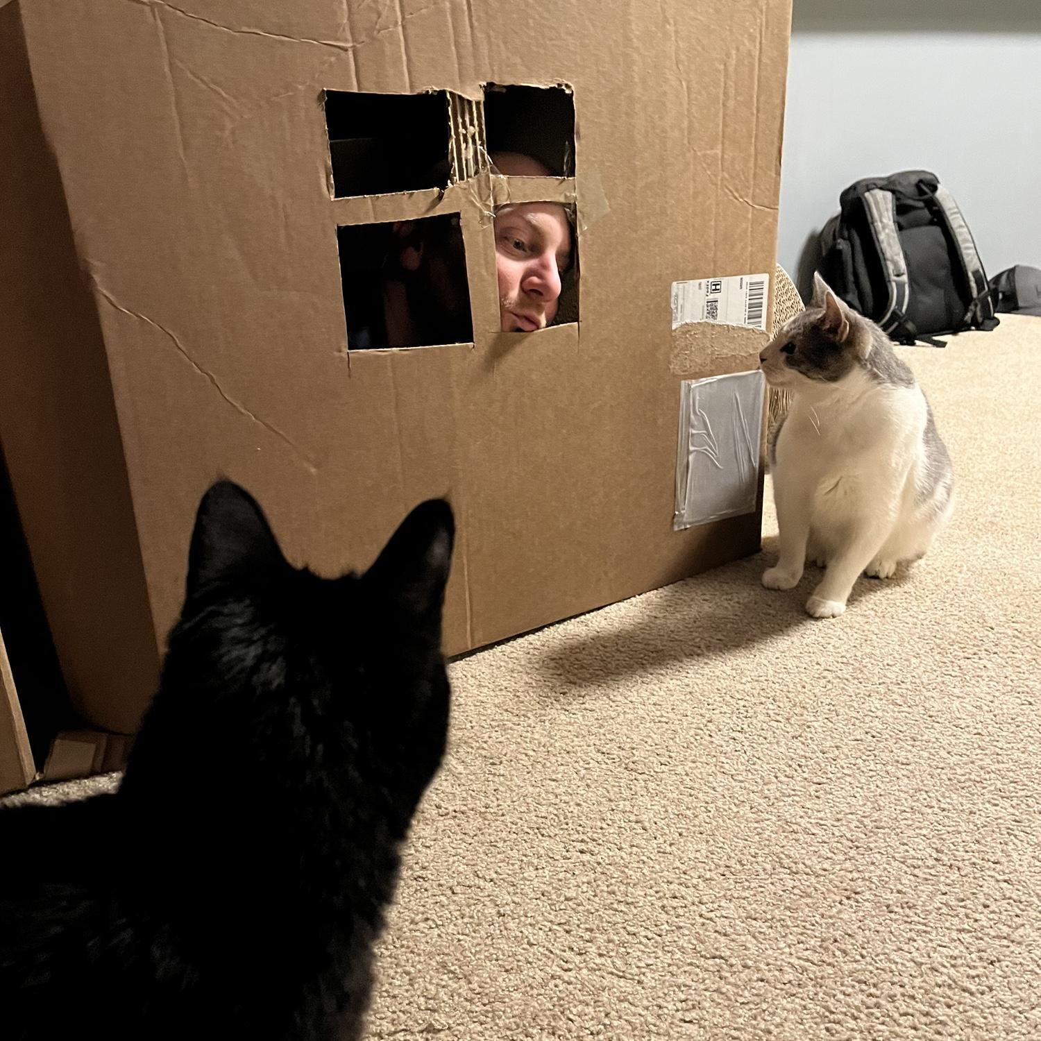 First cardboard house we built together (but not the last)