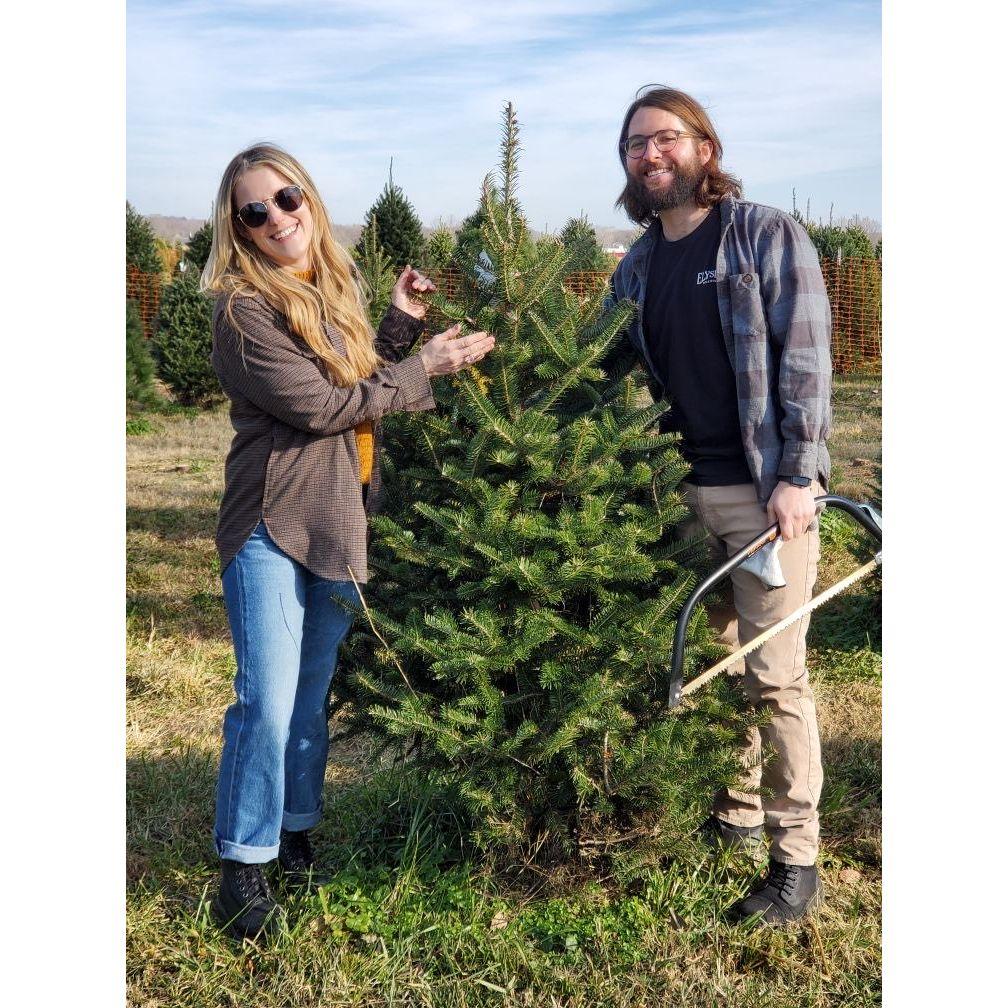 Our First Christmas Tree