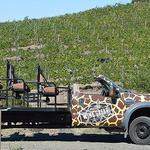 Malibu Wine Safaris
