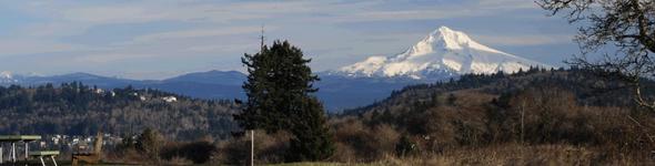 Powell Butte Nature Park