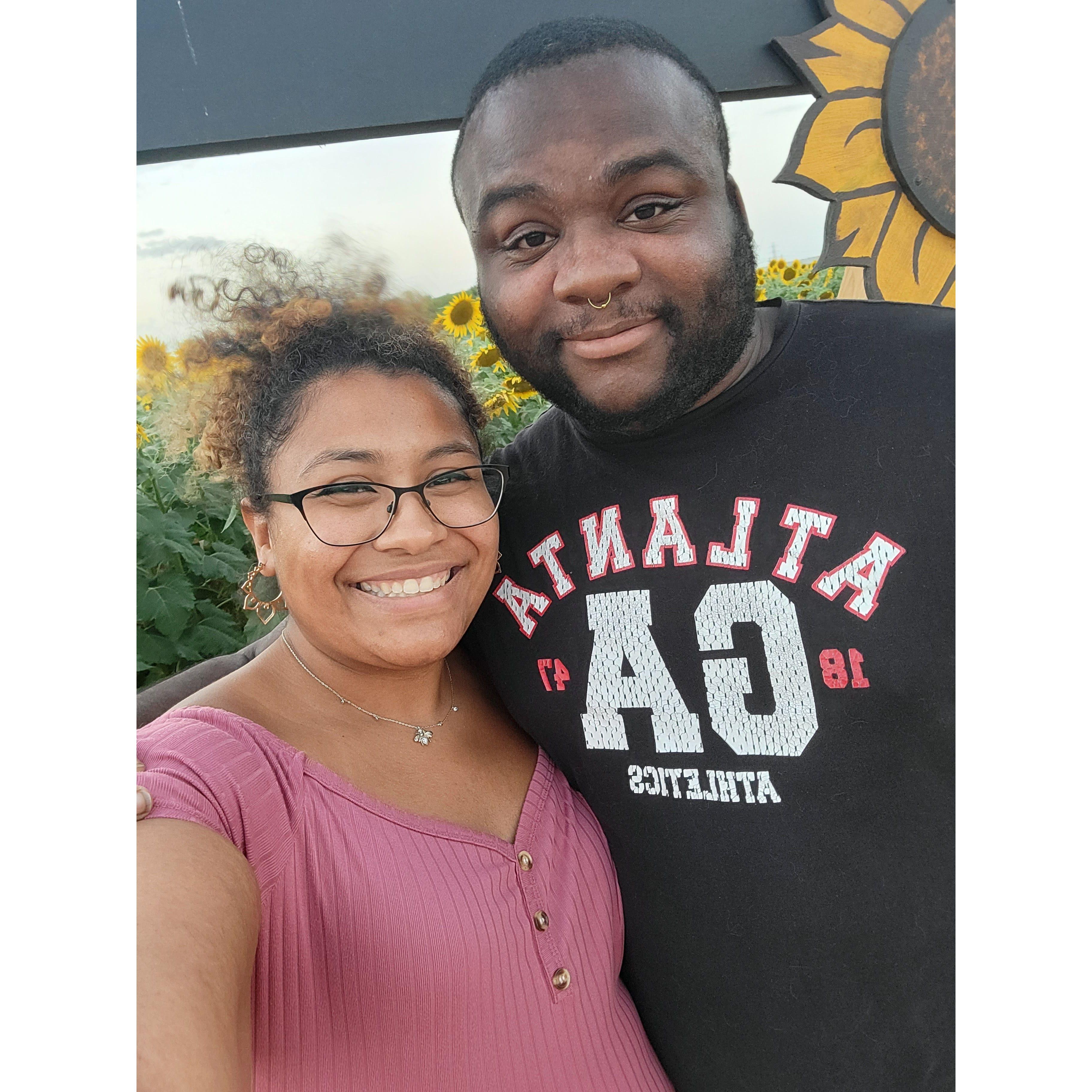 At the sunflower field in San Antonio