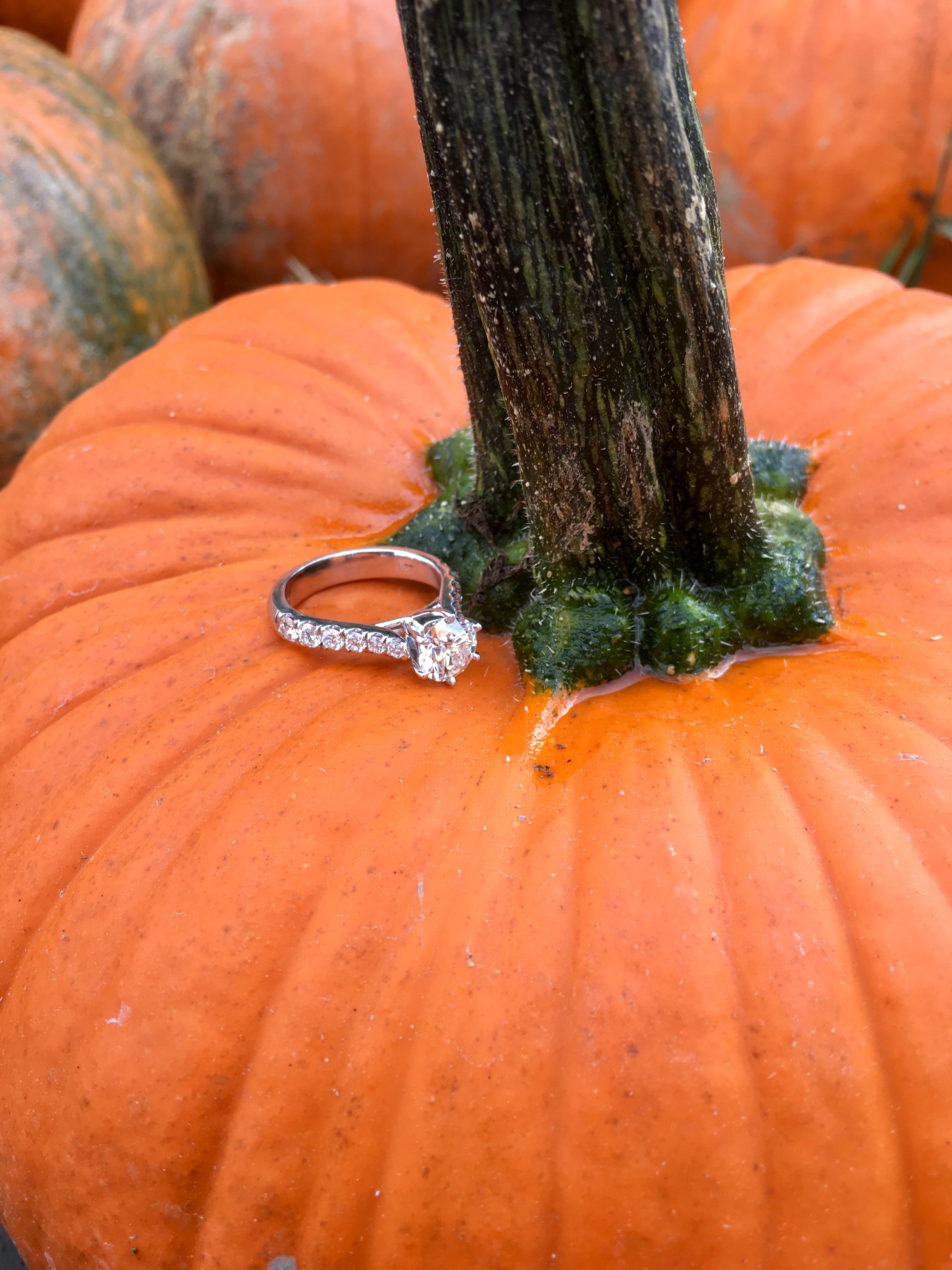 The Wedding Website of Natalie Loney and Ian Sullivan