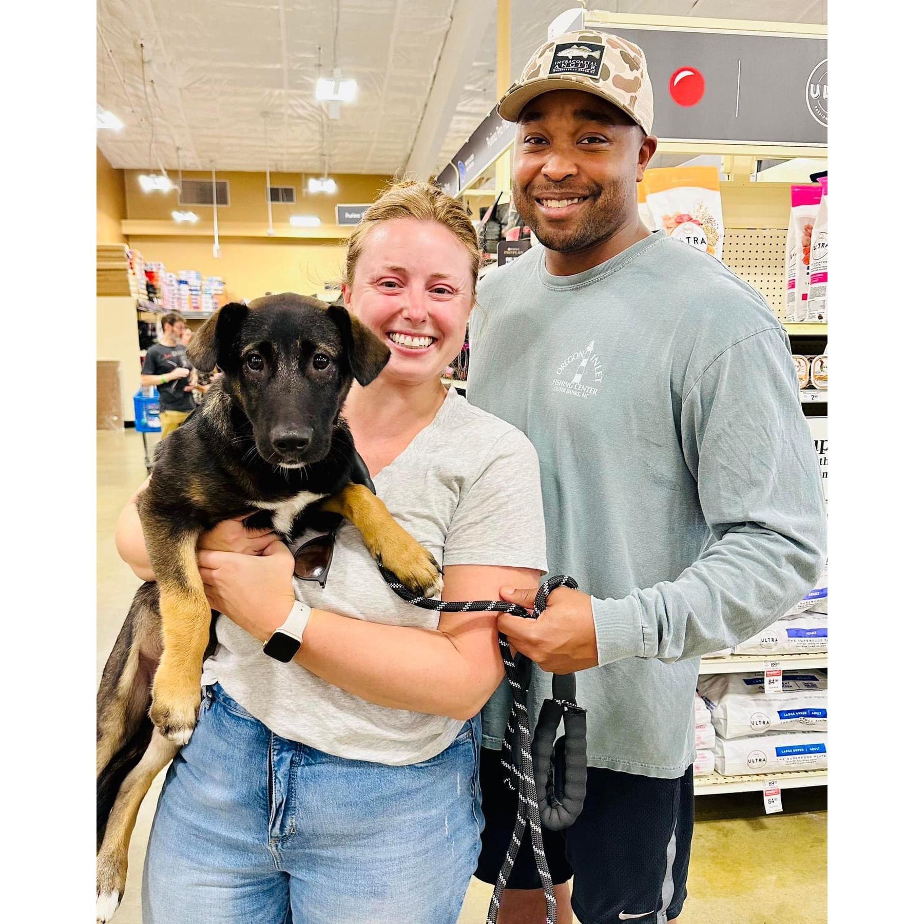 Adoption Day for Nashville Hot Sauce Darby!