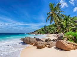 The Wedding Website of Charita Edwards and Marcus Gulley