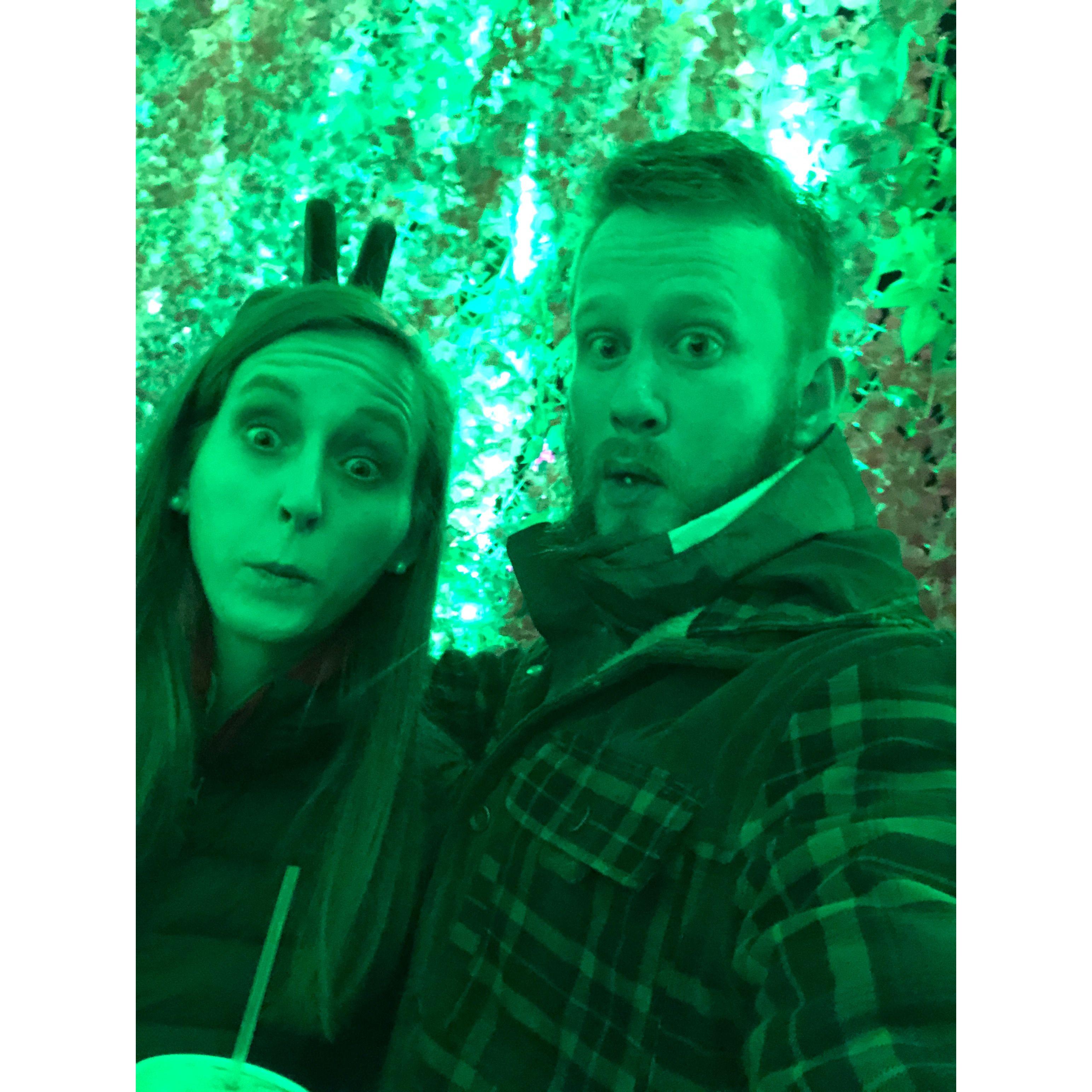 One of our first dates at the Chinese Lantern Festival in Raleigh!