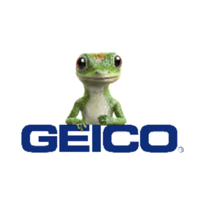 Car Insurance- 6 months