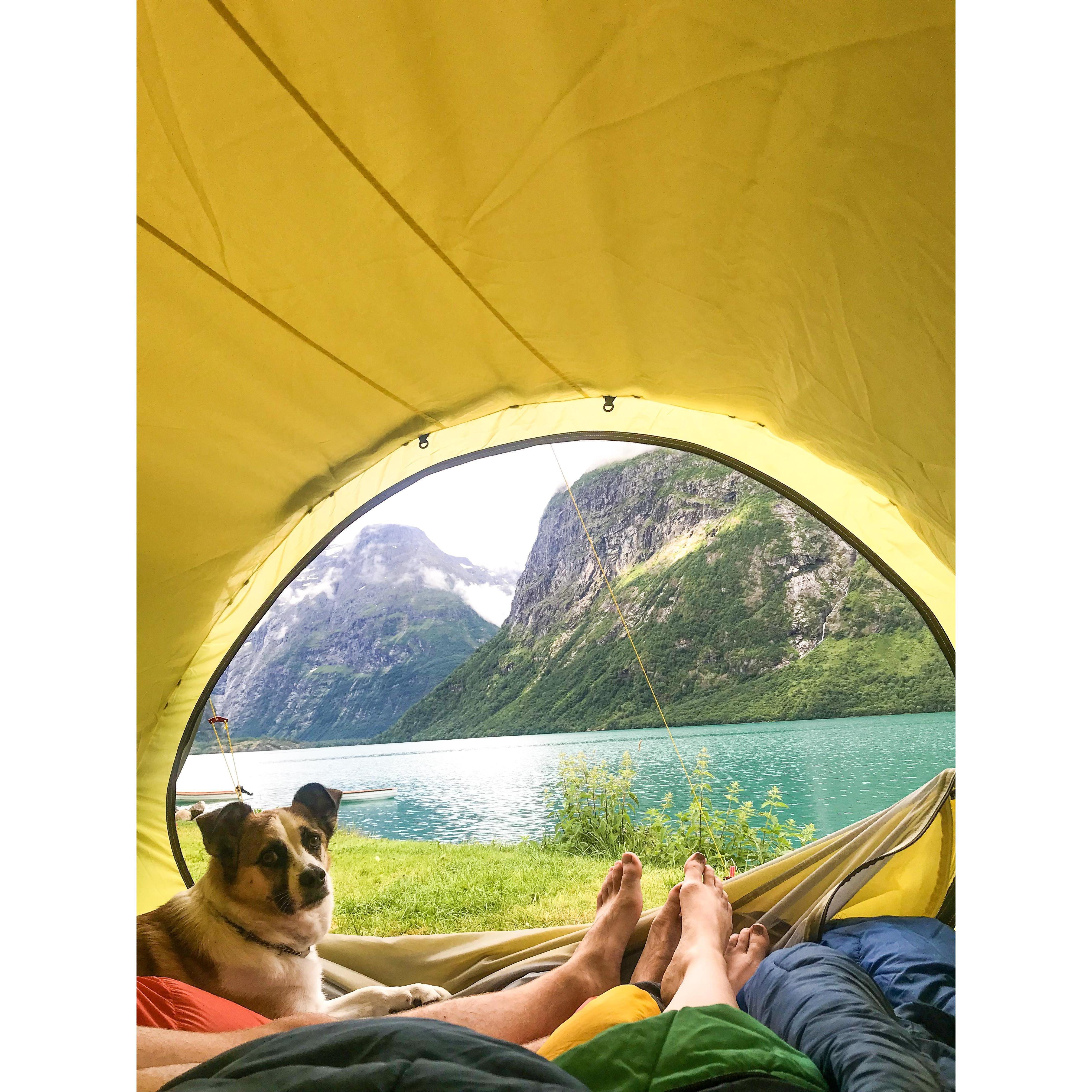 Telttur med vennar og Mike ved Lovatnet juli 2018.