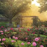 Columbus Park of Roses