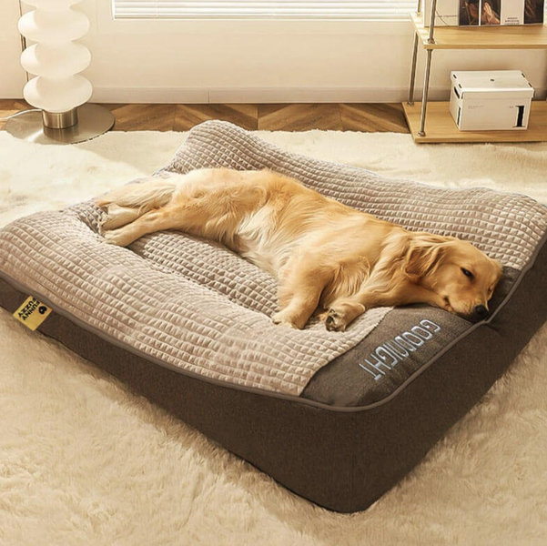 XXLarge Thick Scratch-resistant Spine Protection Dog Cushion Bed