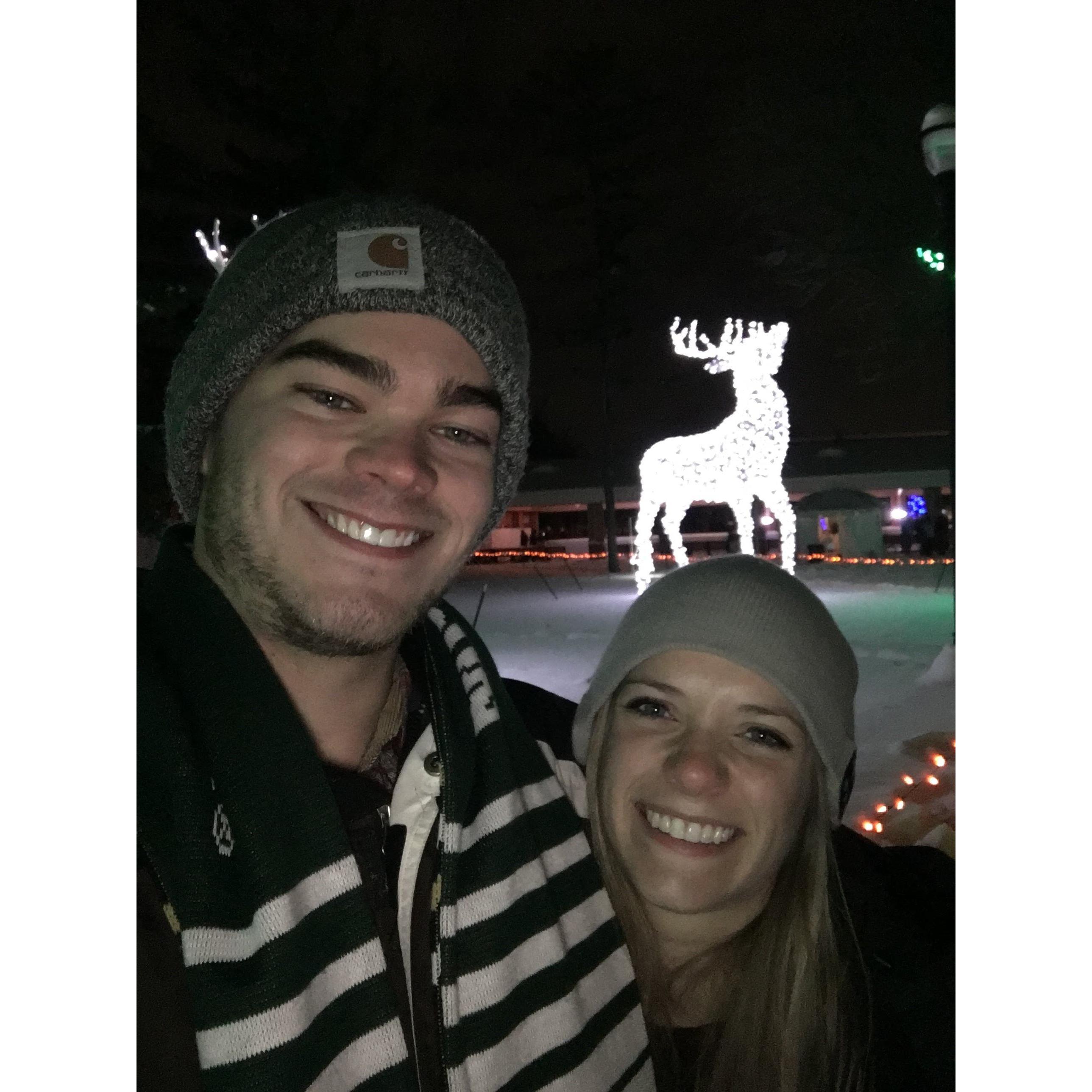 Celebrating one year anniversary, Wild Lights Detroit Zoo, 2017