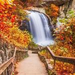 Looking Glass Falls