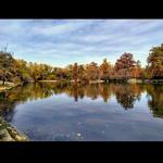 Dillon Nature Center