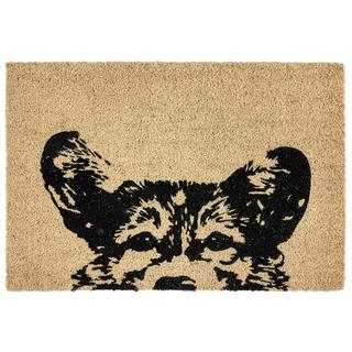 Sparky Coir Doormat