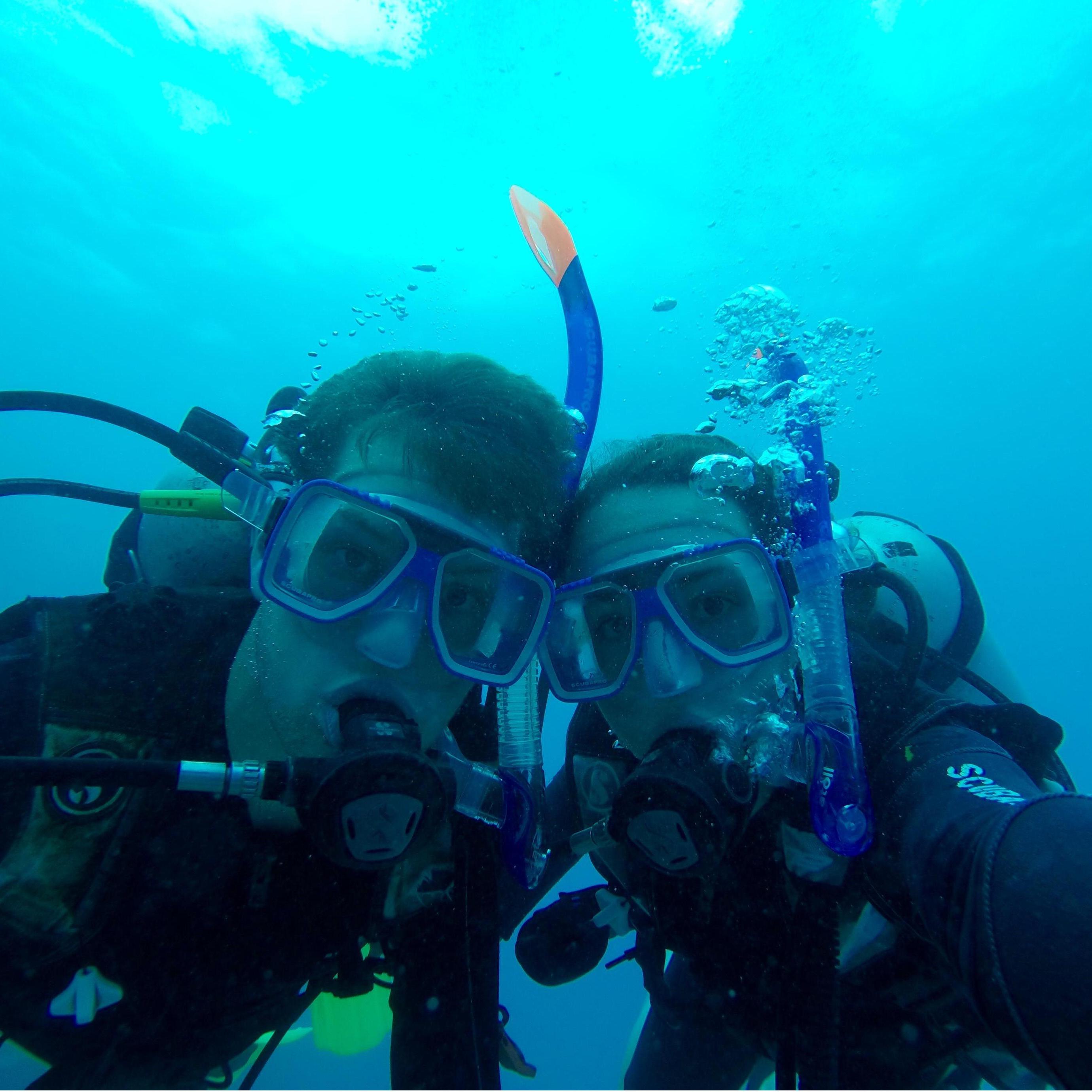 Scuba diving in The Great Barrier Reef