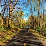 Swamp Rabbit Trail