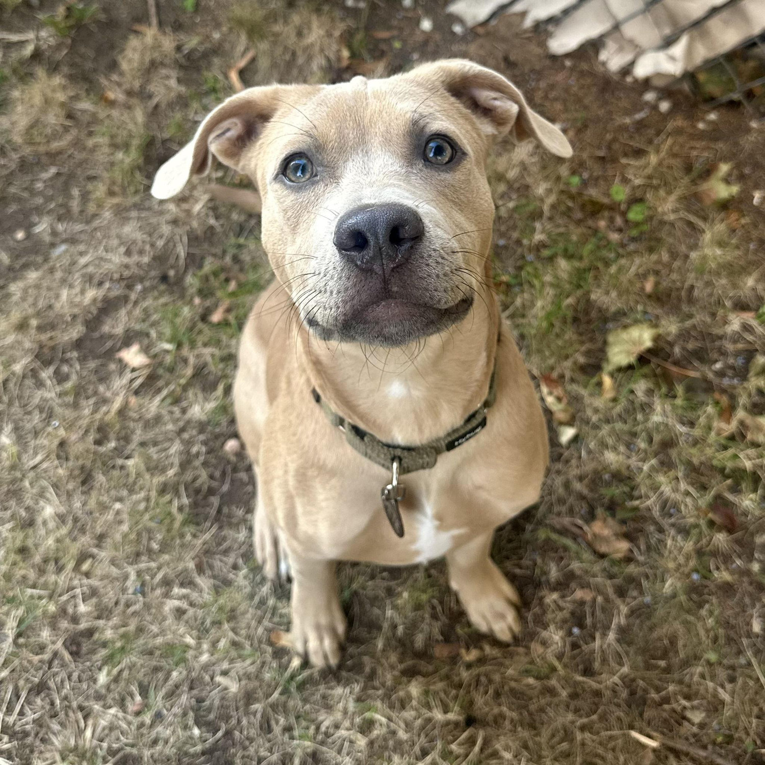 Our newest addition to our family, Pete Russell!