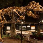 Museum of the Rockies