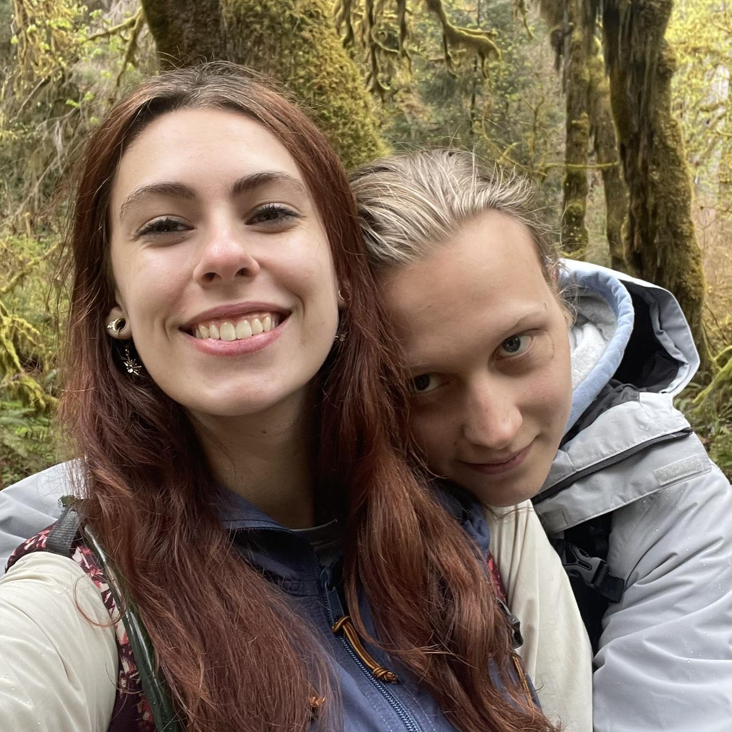 A walk in the woods