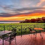 Ventosa Vineyards