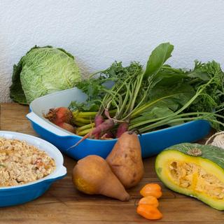 SmartGlass Large Rectangular Baking Dish