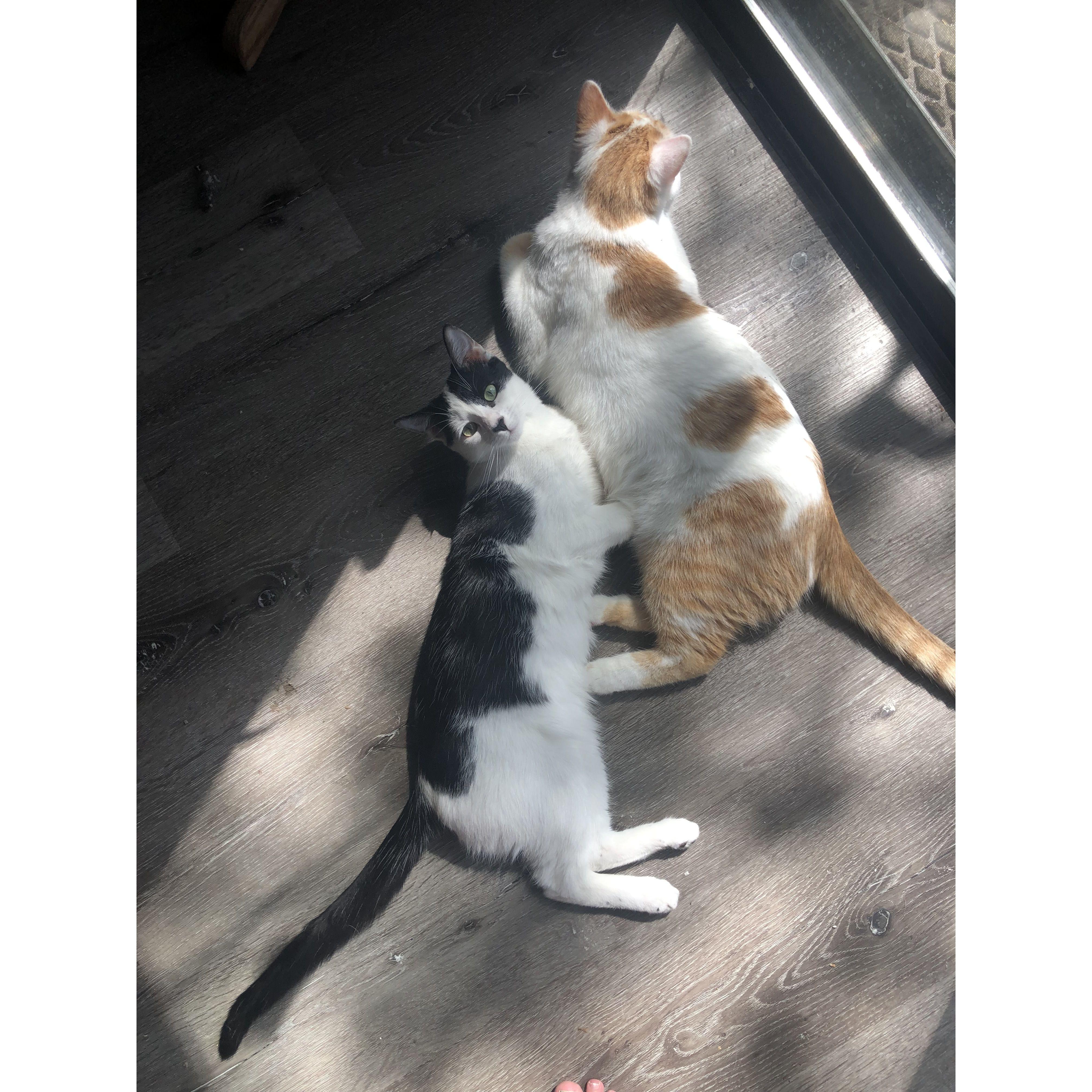 Ayma & Niko.