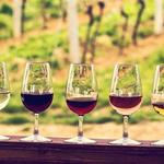 Lodi Wine Visitor Center