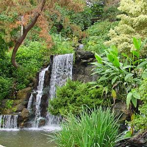 LA Arboretum Membership