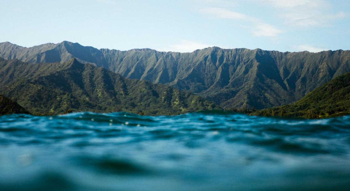 The Wedding Website of Adriana Brewer and Carlin Gibbs