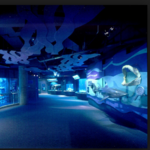 Aquarium of the Pacific