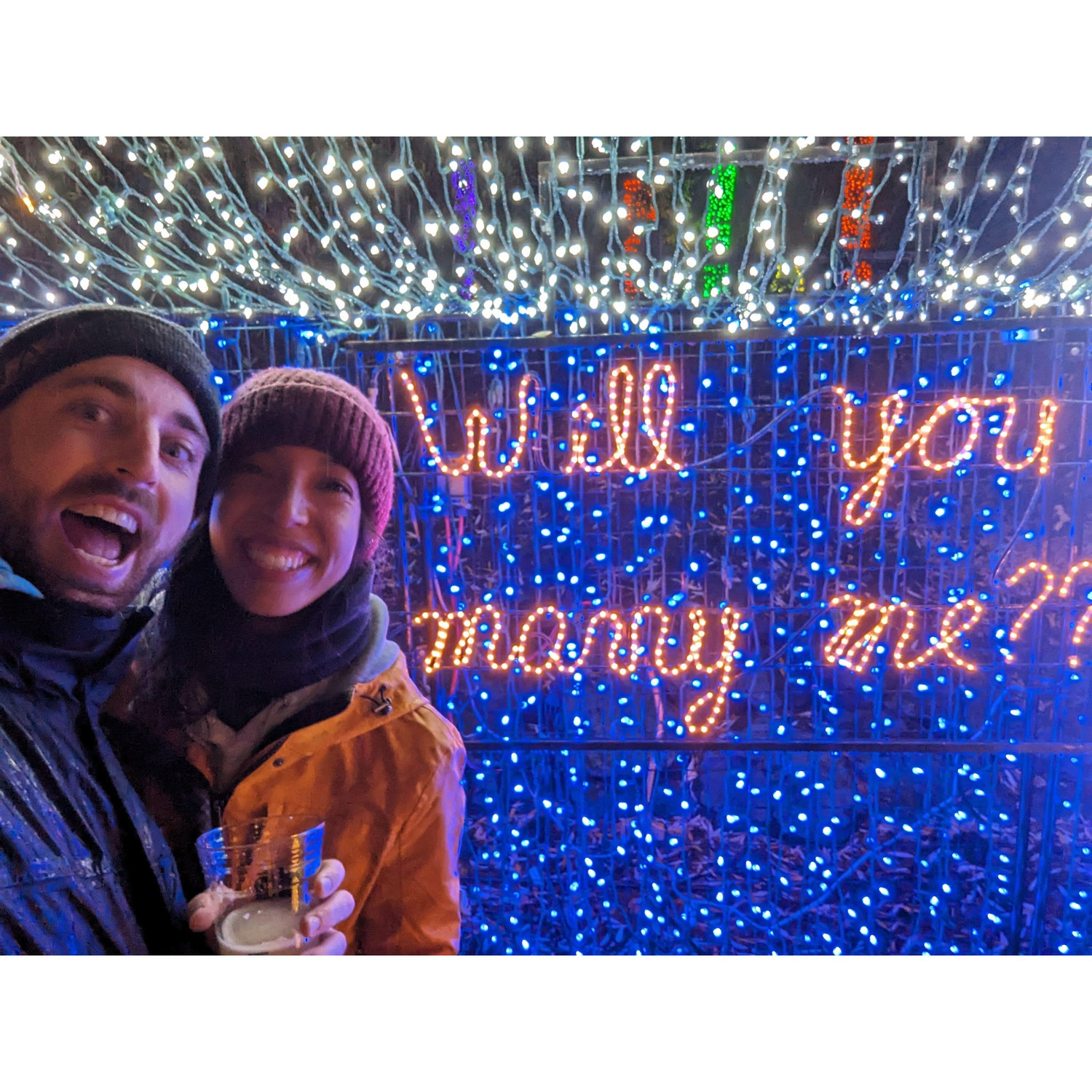Our fake proposal.
