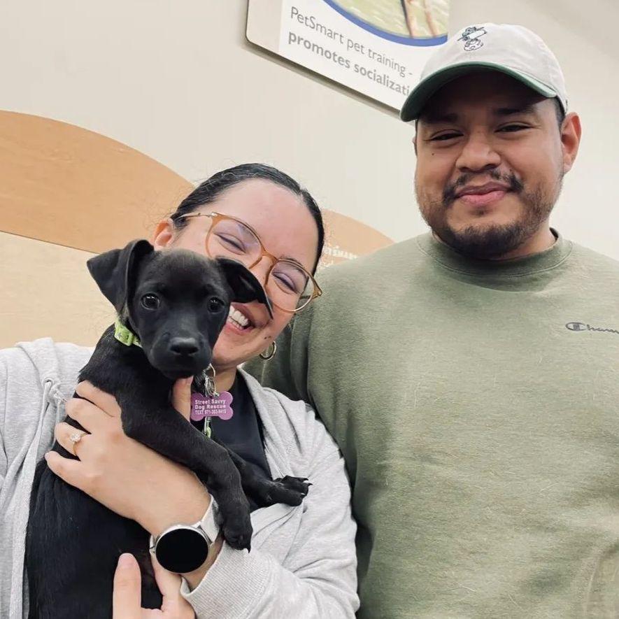 Rio Pinto's adoption :)